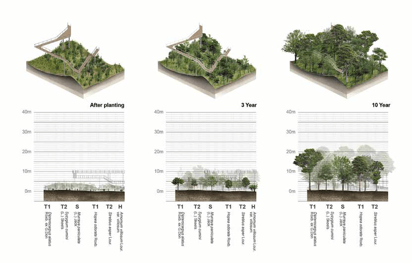 Metro-Forest-Project-bangkok