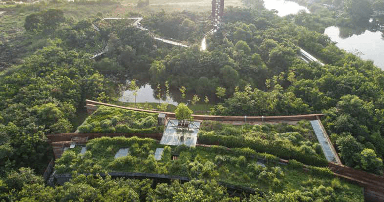 Metro-Forest-Project-bangkok