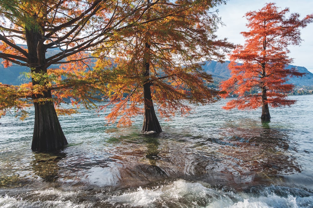 esondazione-lago-maggiore