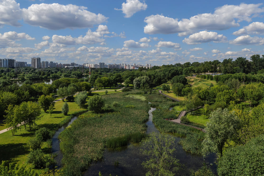 Park-on-the-Banks-of-the-Moskva-River