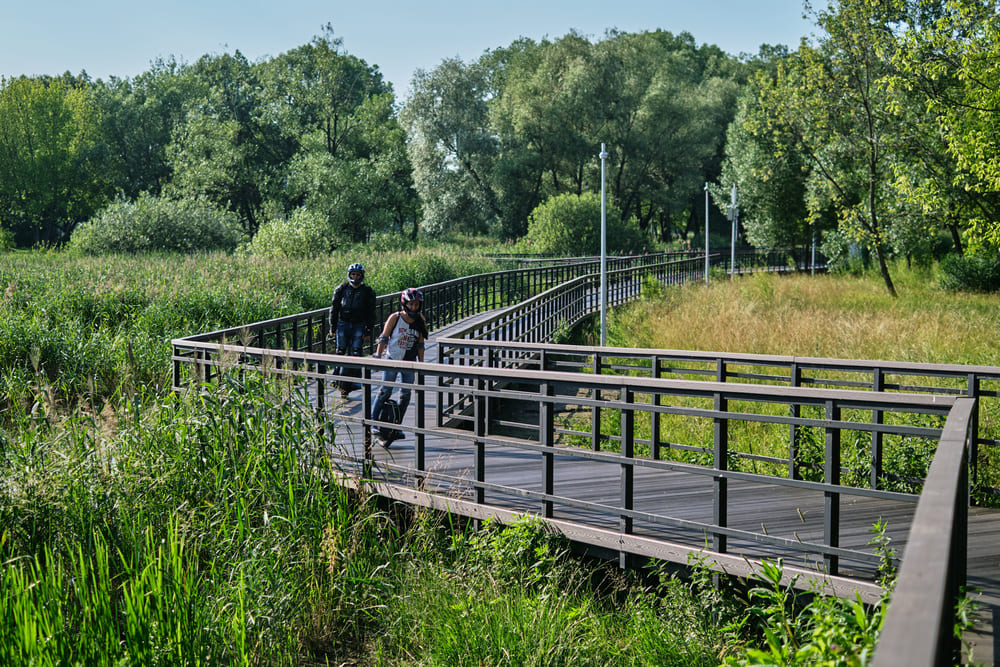 Park-on-the-Banks-of-the-Moskva-River