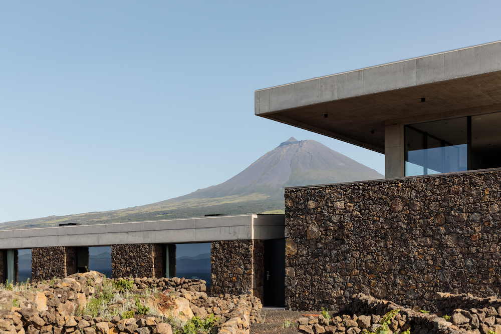 Adega-Azores-Wine-Company