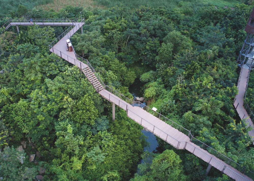 Metro-Forest-Project-bangkok