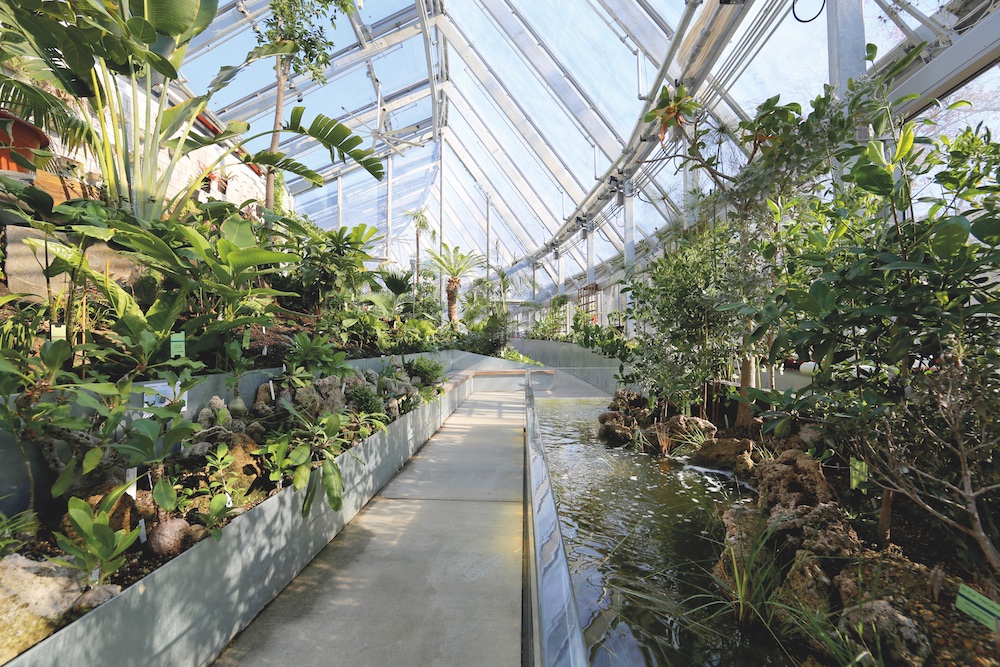 Global-Flora-Conservatory-Massachusetts