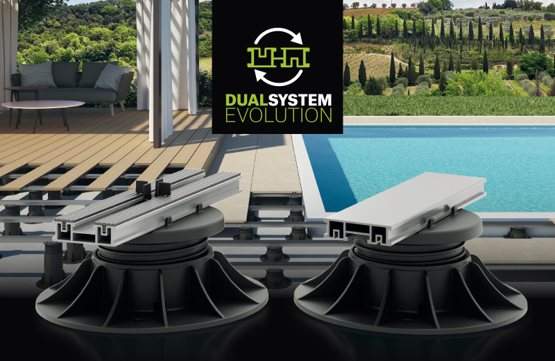 dual-system-evolution