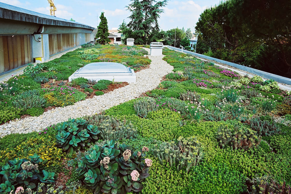 iglu-green-roof-daliform