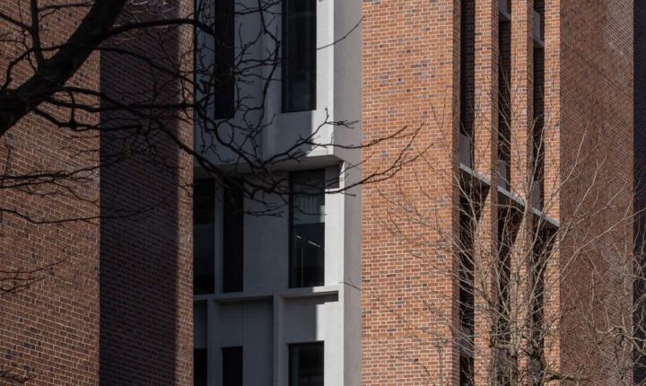 l progetto degli studi Grafton Architects e O'Mahony Pike Architects, vincitore della sezione Lavorare insieme