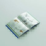 Il nuovo catalogo dei prodotti RBM
