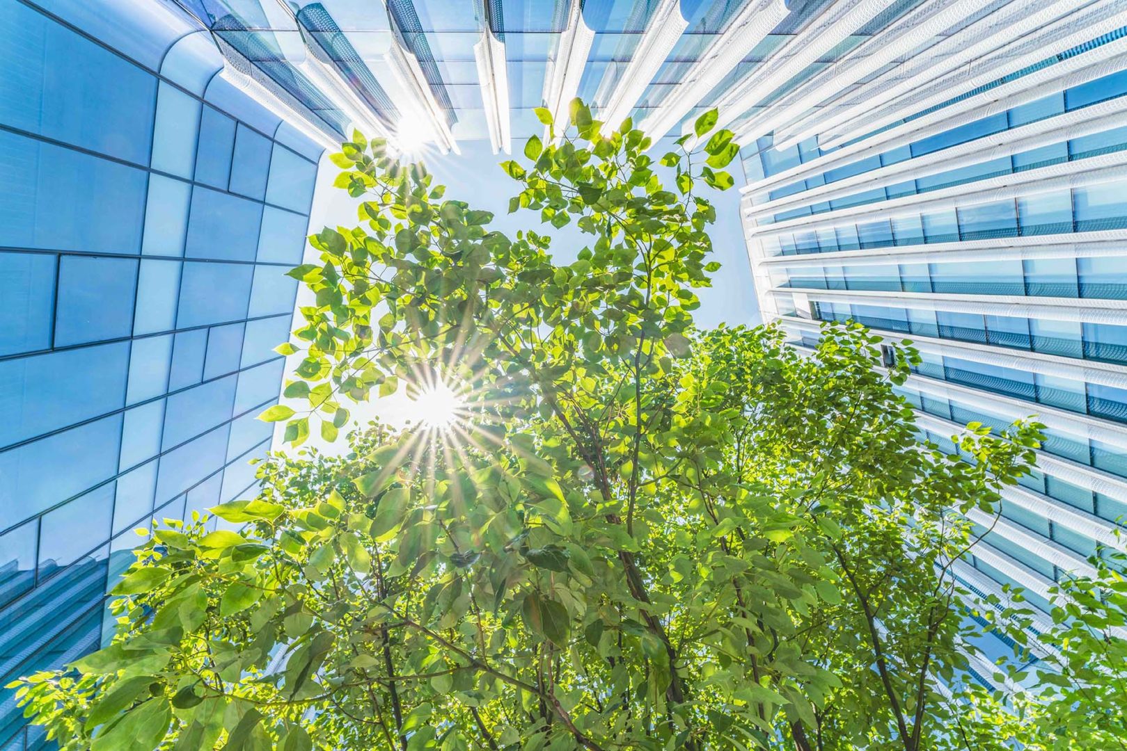 ista: la modernità deve essere anche green