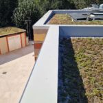Rockwool il tetto verde