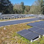 Rockwool il tetto verde