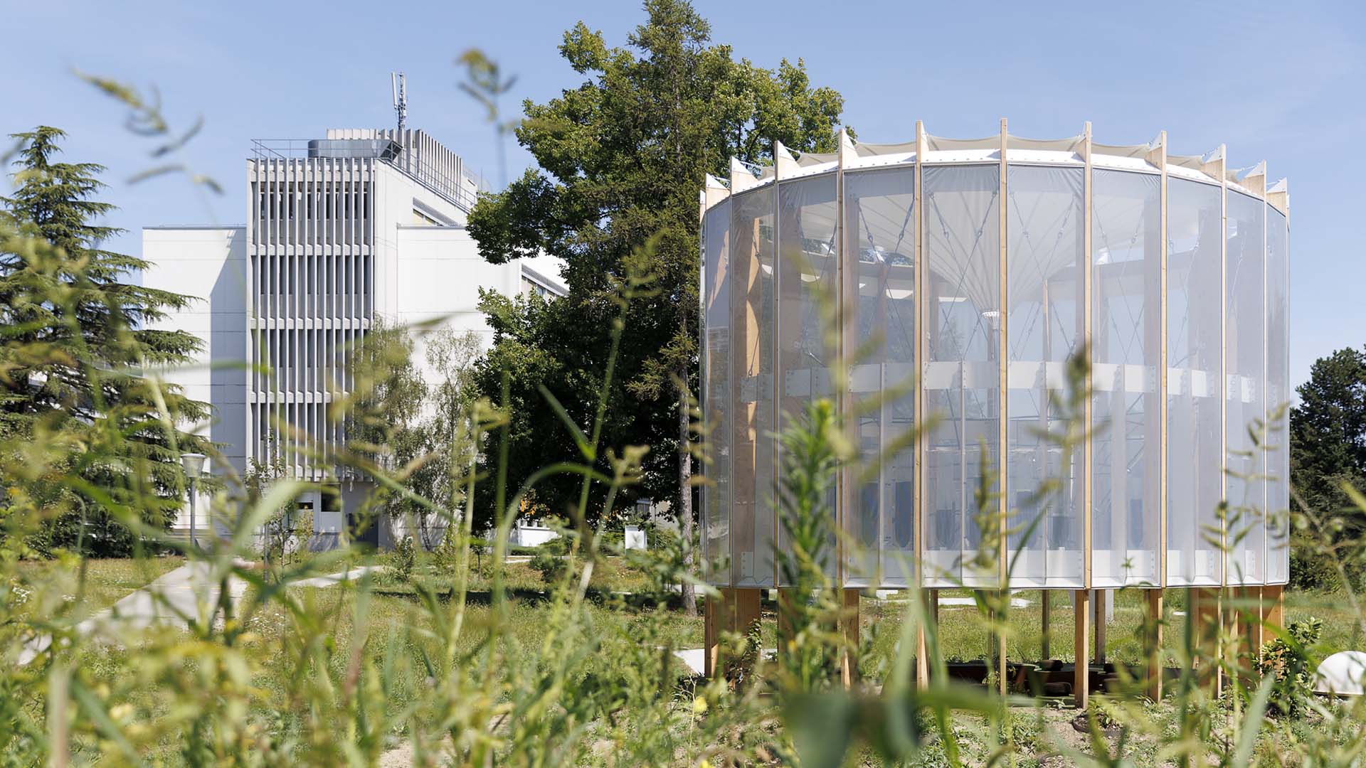 il giardino rigenerante
