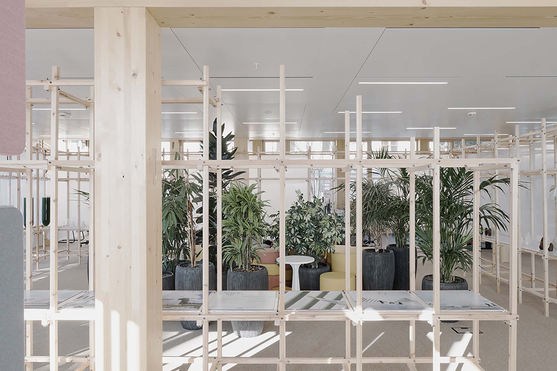 giardino interno