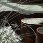 essenze all'interno dell'AirBubble