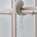 air pot con muschio spagnolo purificante dell'aria
