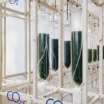 bioreattori ad alghe che purificano l'aria