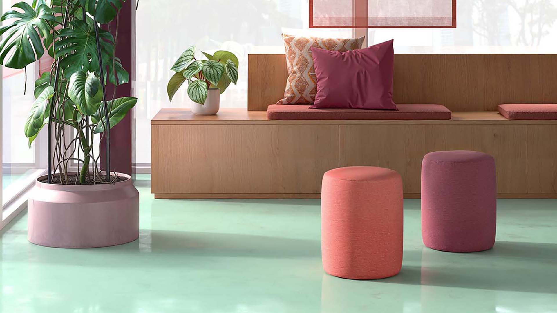 Novacolor palette zenith