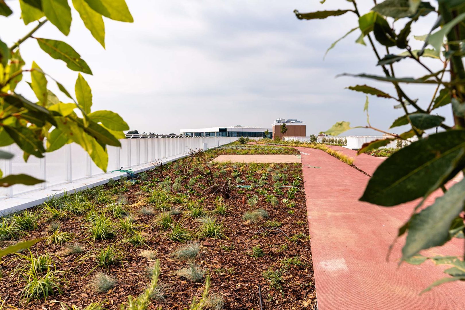 Realizzazione di un percorso panoramico sulla copertura verde delle residenze