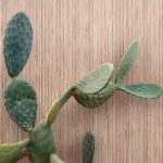 Florim SensiTerre canettato mattone