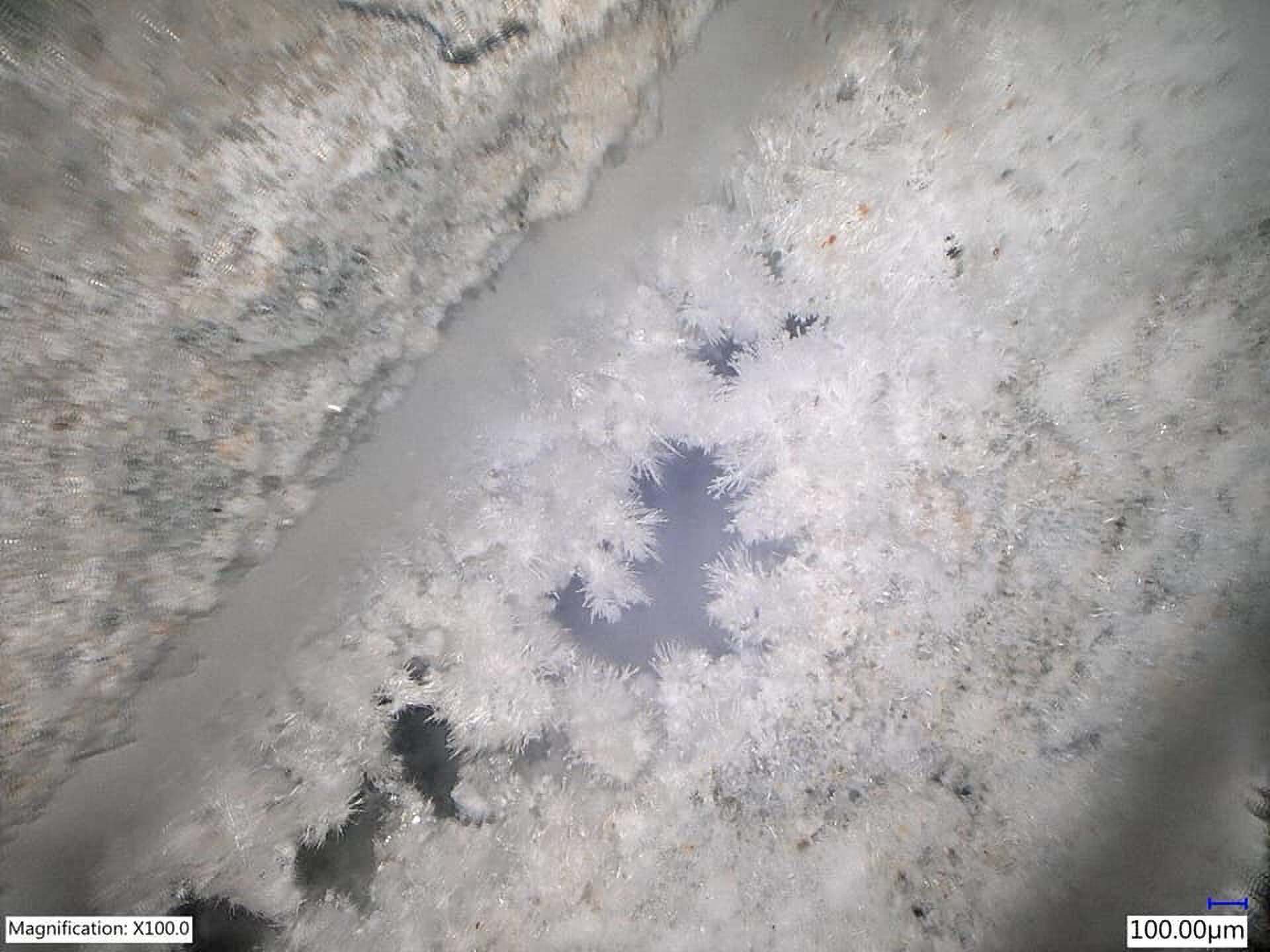 Immagine al microscopio Magnification: X100.0 della cristallizzazione in una fessura del calcestruzzo
