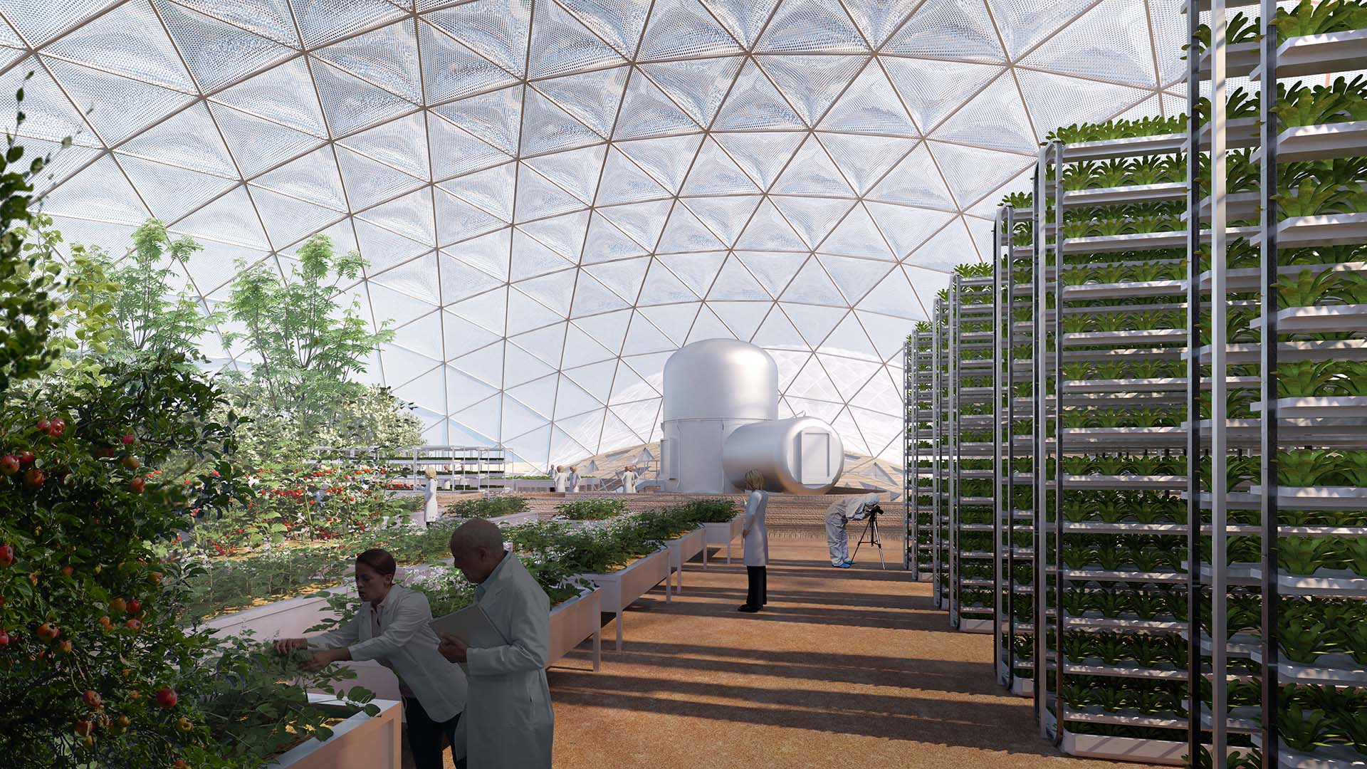 Serre sperimentali con tecniche di coltivazione adatte all’ambiente marziano, dove si sperimentano colture resistenti e sistemi di agricoltura verticale
