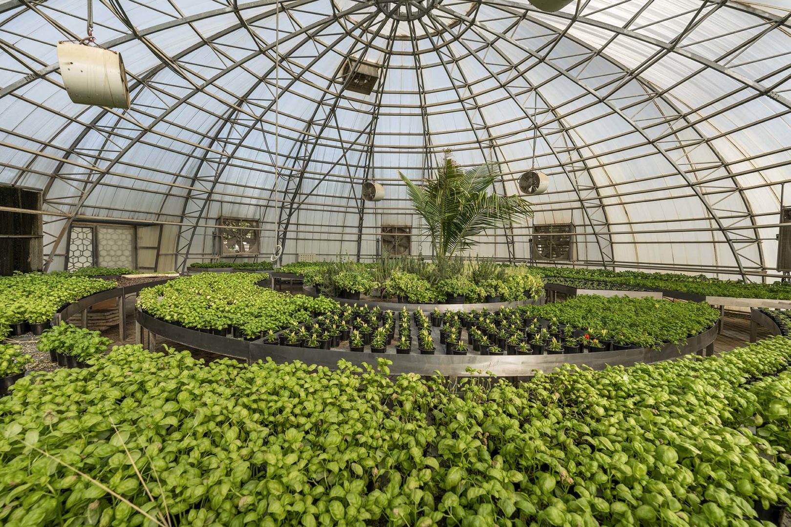 Agricoltura urbana integrata: serre geodetiche, orti condivisi e spazi verdi si combinano in un sistema ecologico diffuso, che coniuga produzione locale, educazione ambientale e qualità paesaggistica