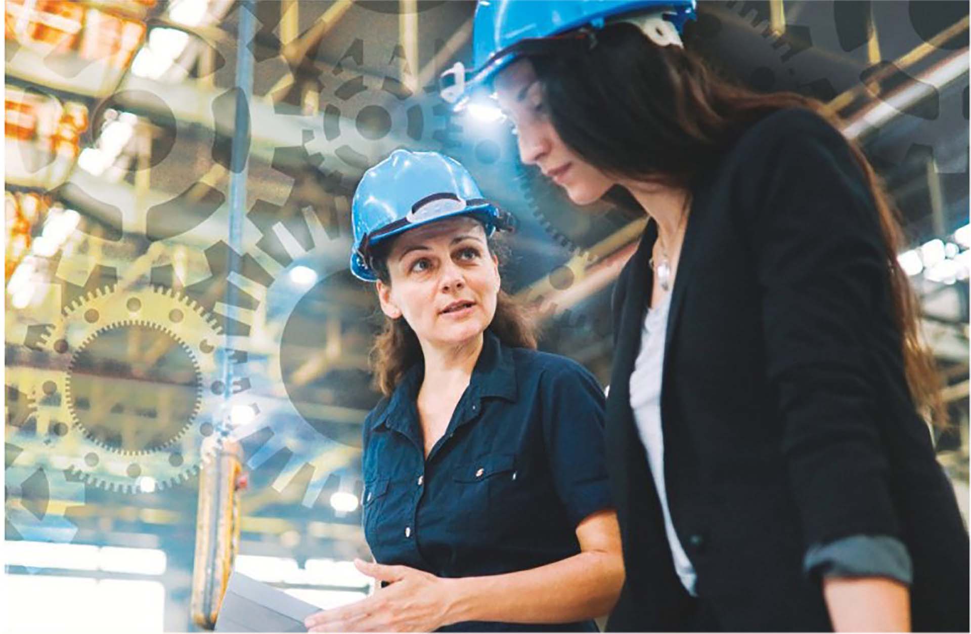 Cni riforma professioni