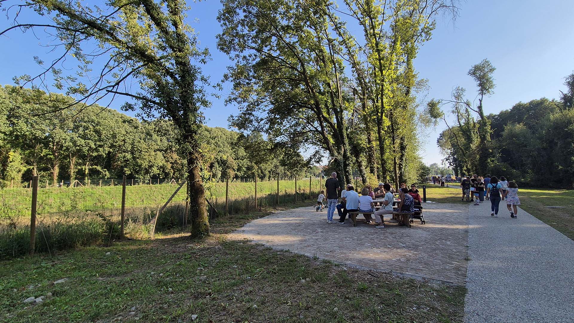 Land viale alberato e area di sosta