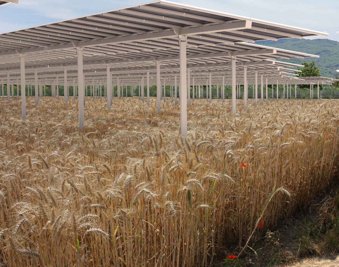 Laterlite l'impianto agrivoltaico a Solignano (Parma) visto dal basso