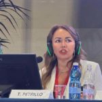 Tiziana Petrillo | Consigliere Cni responsabile area sicurezza