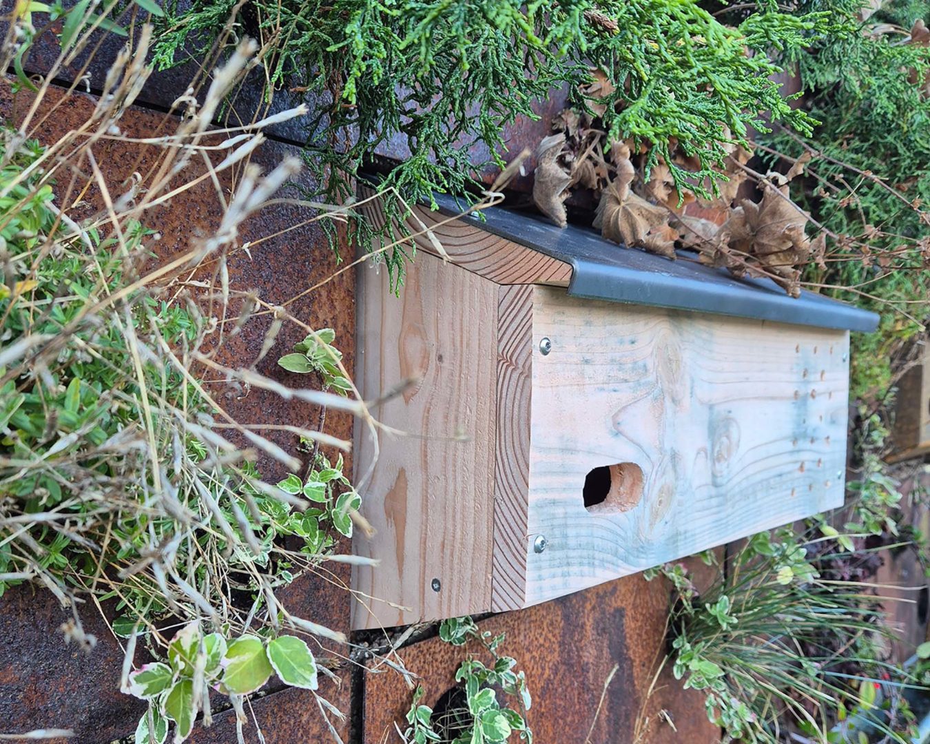 Habitat in legno per la fauna urbana