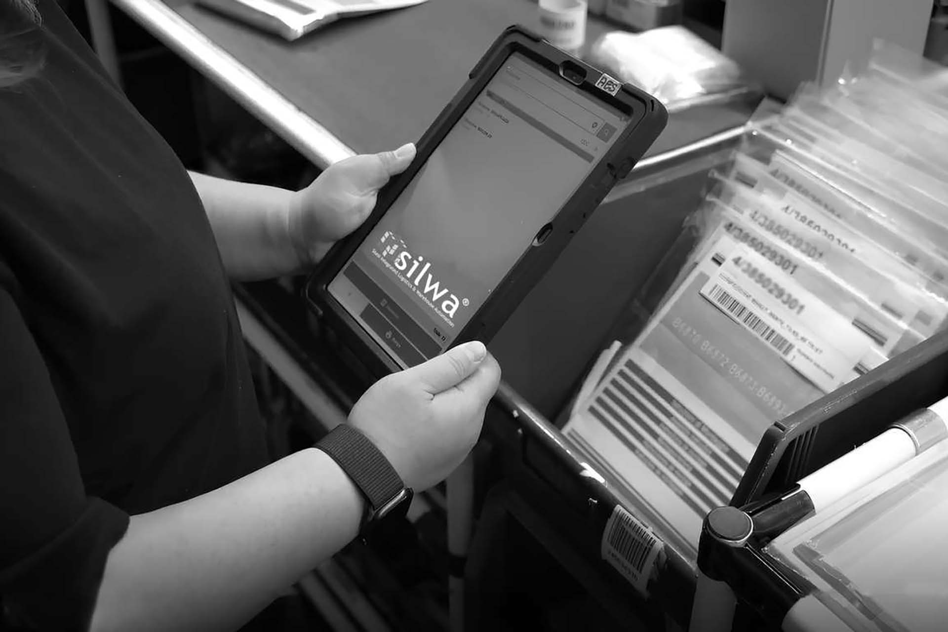 Stesi Software Wms per la tracciabilità