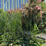 Progetto Cmr | Giardino di The Sign