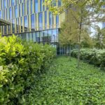 Progetto Cmr | Giardino di The Sign