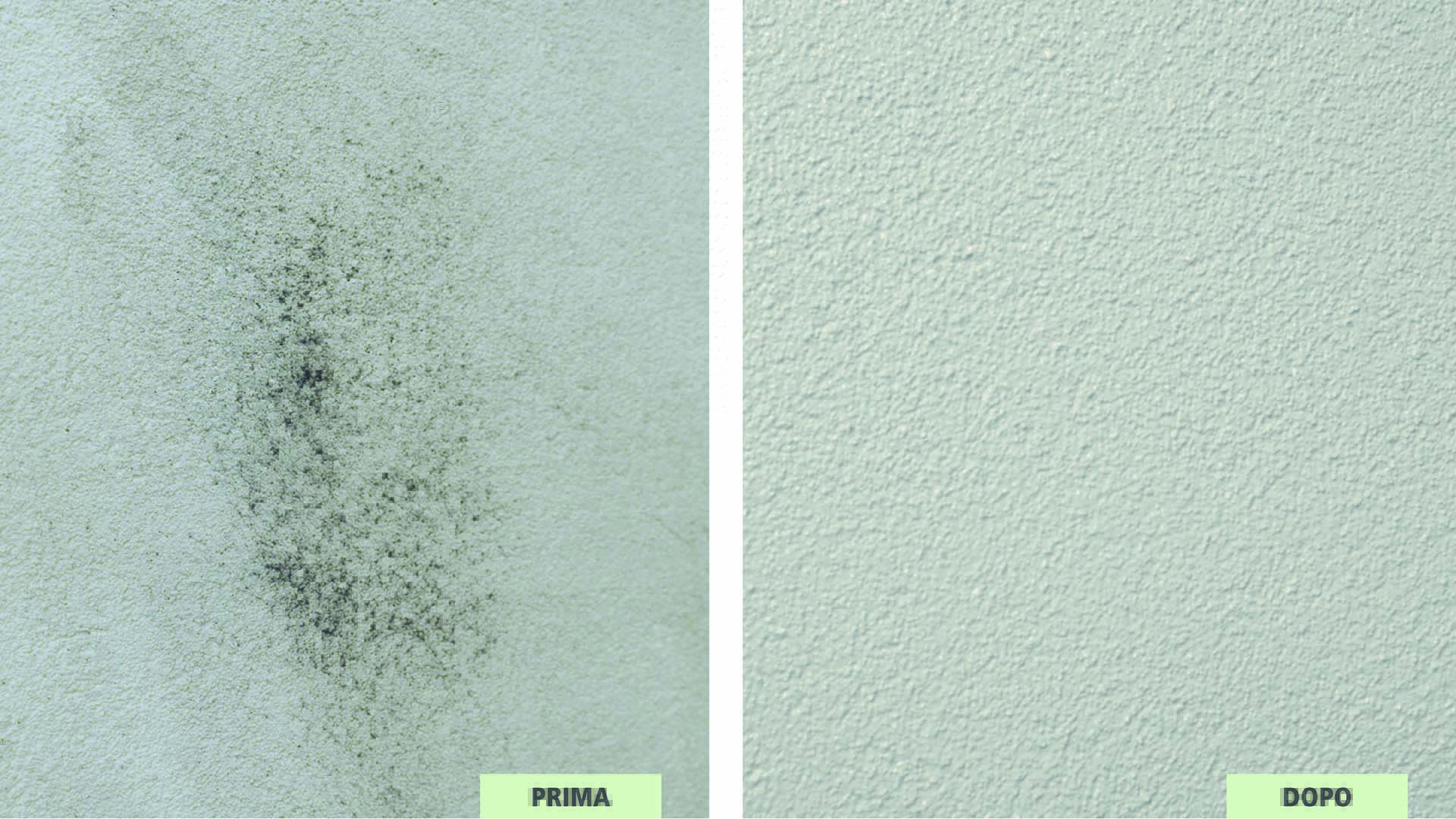 Facciata tradizionale interessata dalla presenza di organismi infestanti, bonificata con il ciclo sanificante protettivo di Settef