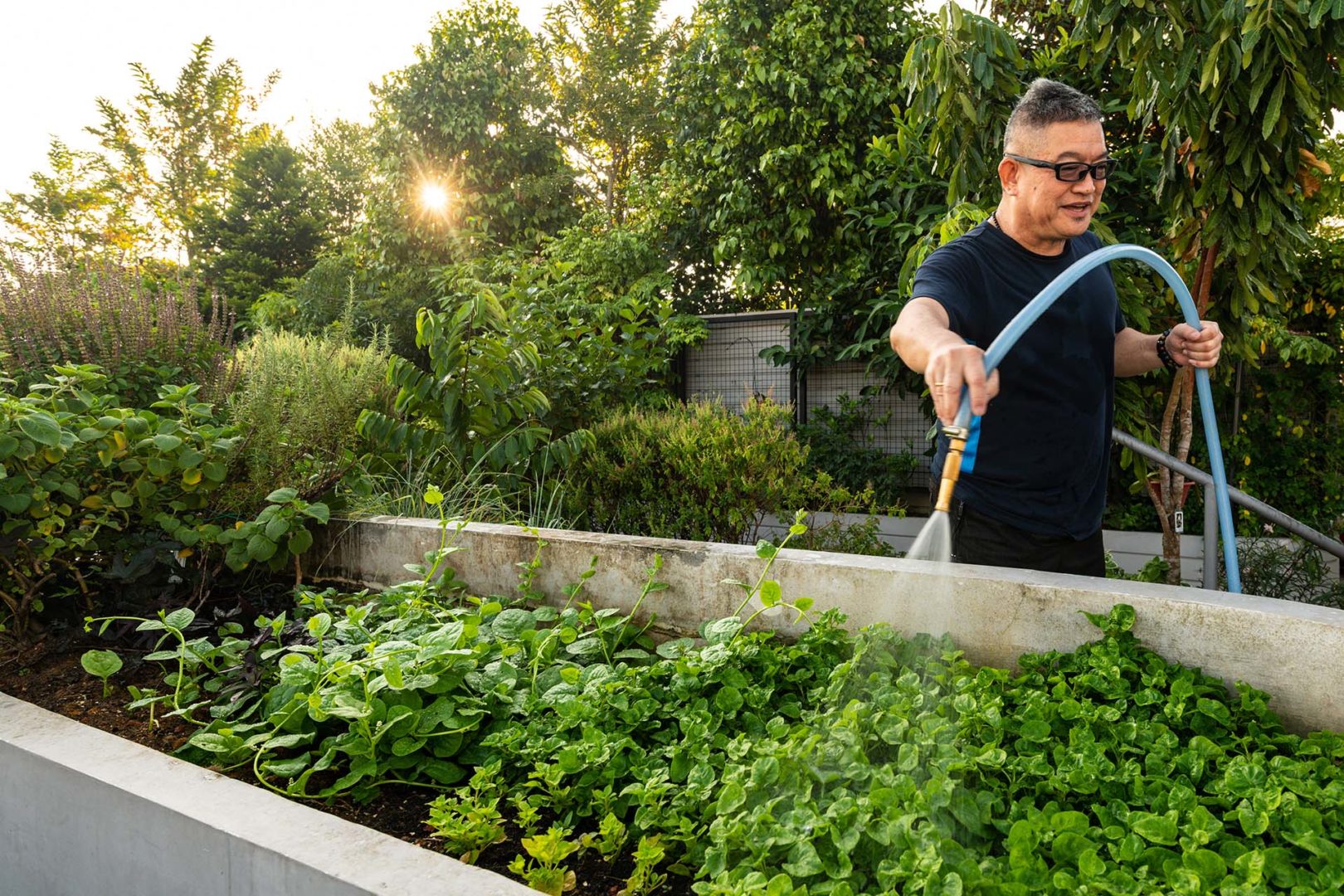 Orto urbano sul tetto coltivato da un residente, che innaffia le piante al tramonto. La presenza dell’uomo sottolinea l’importanza dell’agricoltura urbana e della partecipazione attiva degli abitanti alla cura degli spazi comuni | ©Lim Wei Xiang, Henning Larsen Architects