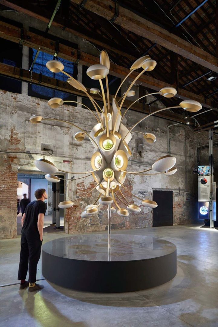 Space Garden di Thomas Heatherwick e Aurelia Institute | ©Google