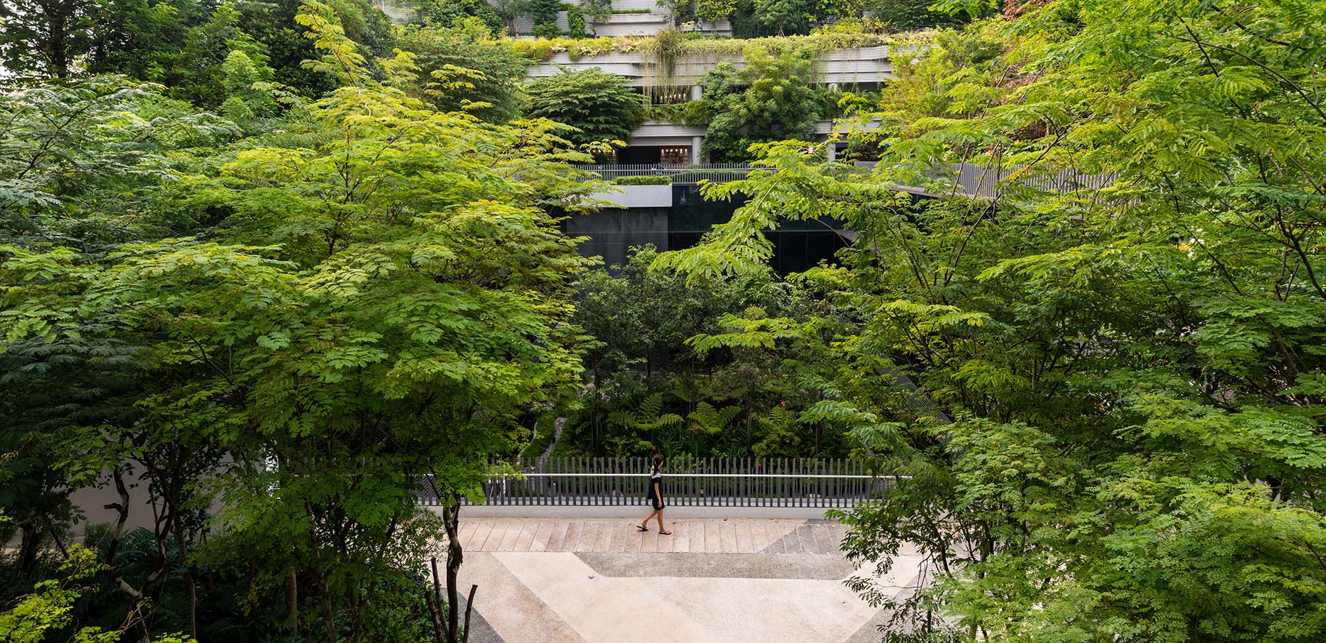 Un percorso pedonale attraversa una rigogliosa vegetazione tropicale che avvolge le terrazze dell’edificio. Una persona cammina sul sentiero, evidenziando la scala umana del progetto | ©Lim Wei Xiang, Henning Larsen Architects