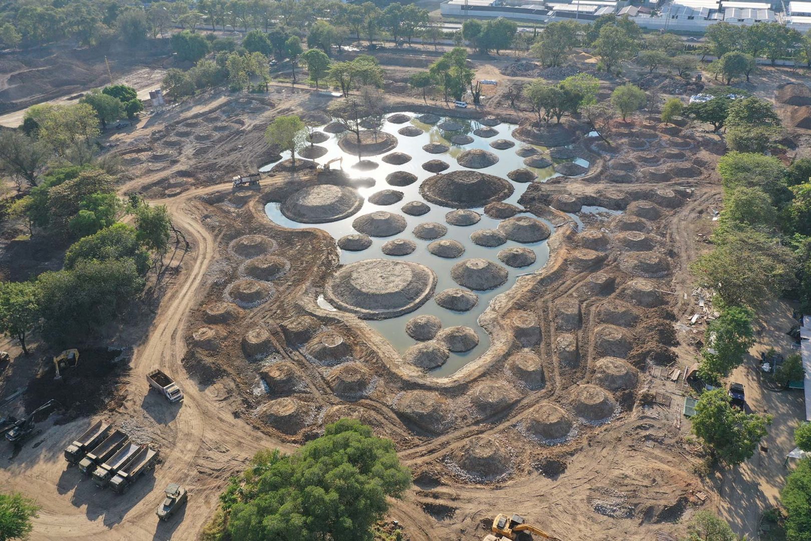 Foto area del processo di formazione delle isole delle zone umide con la conservazione delle alberature esistenti