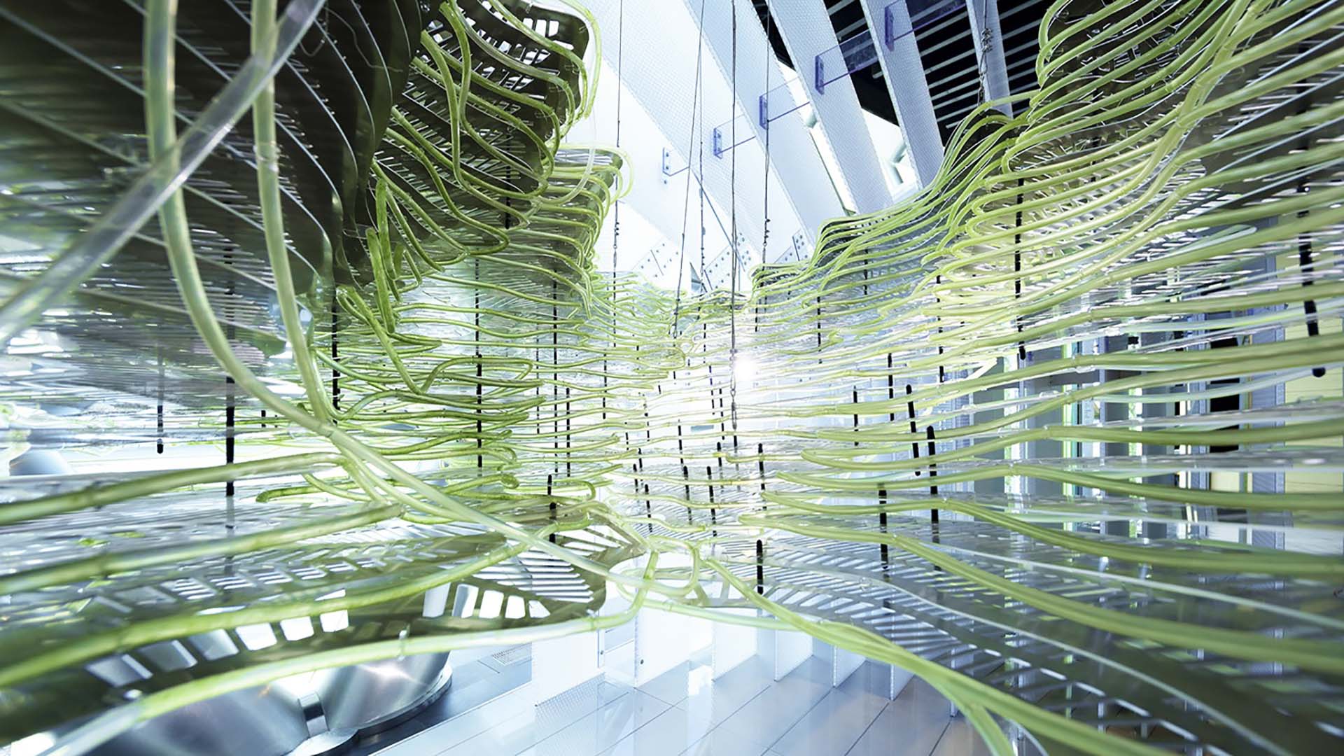 Progetto di biofilia di ecologicstudio